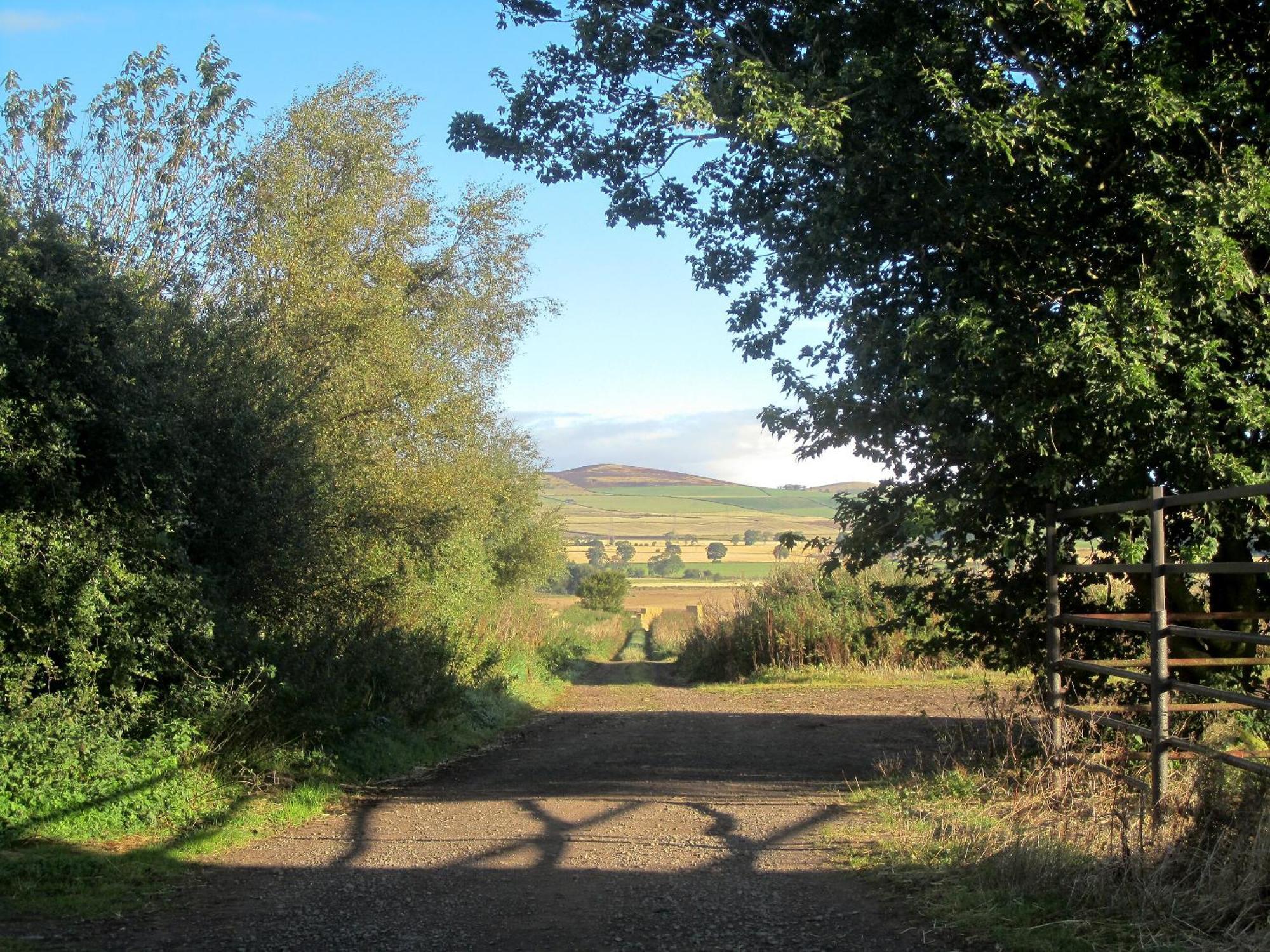 Appletree Cottage Kirkton of Tealing Eksteriør bilde