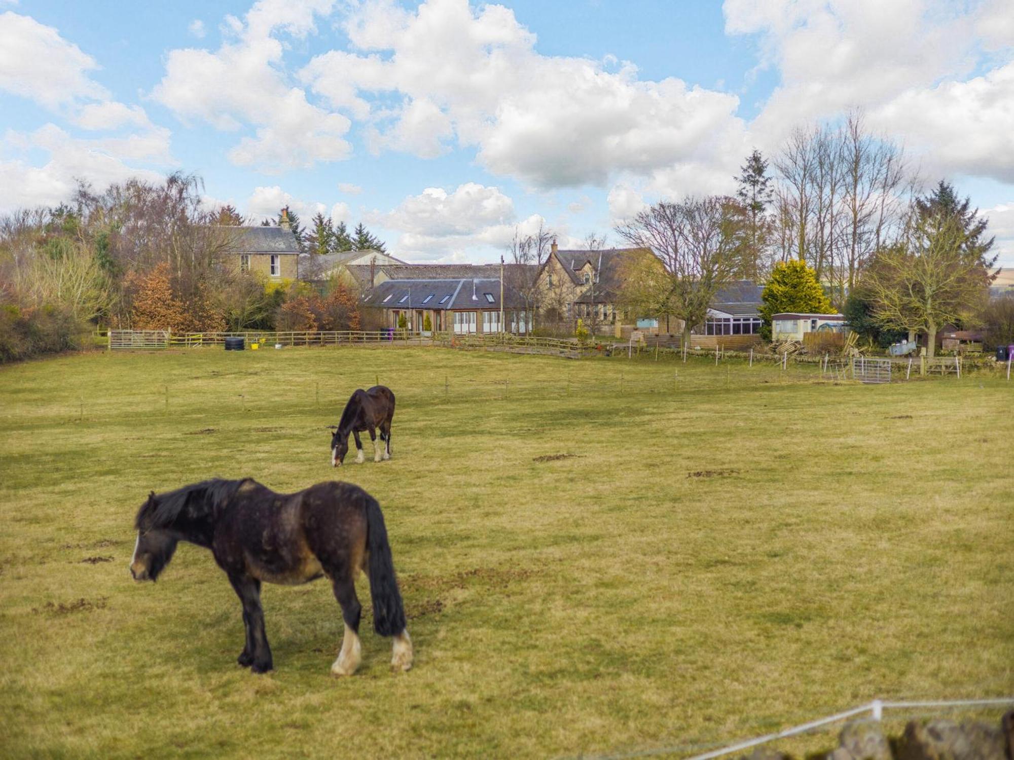 Appletree Cottage Kirkton of Tealing Eksteriør bilde